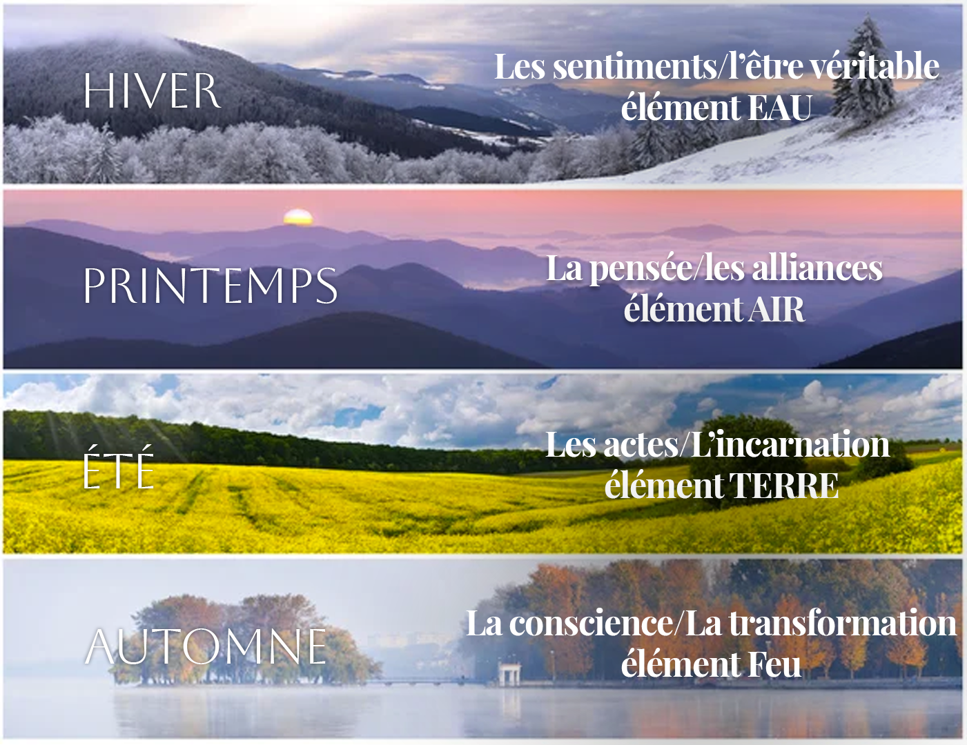 Plan de travail 15