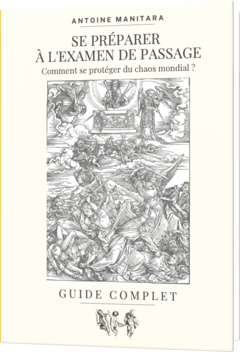 Calque 1